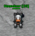 Houndour1.png