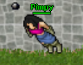 Pimpy.PNG