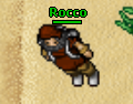 Rocco.PNG