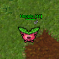 Hoppip1.png