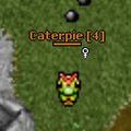 Caterpie.jpg