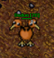 Doduo1.png