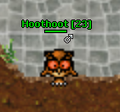 Hoot1.png